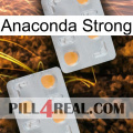 Anaconda Strong 25